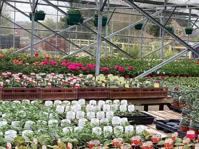 Station Garden Nurseries