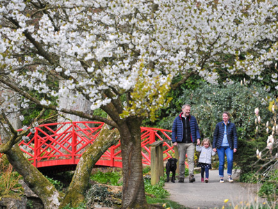 Batsford Arboretum