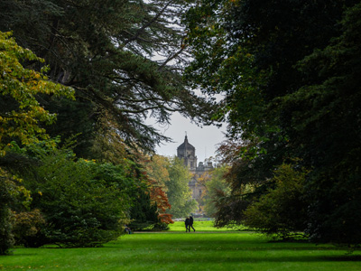 Westonbirt